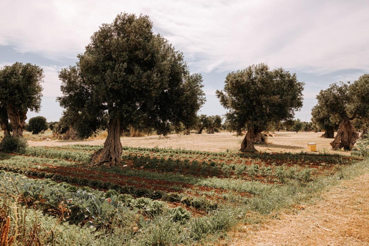 Masseria Garrappa Fasano Exteriör bild